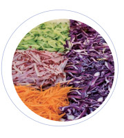 1.1KW Capacidad Máquina de procesamiento de vegetales 380V Potencia electromotriz 175kg Peso neto Pantalla digital