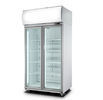Escaparate vertical del refrigerador de dos puertas para el yogur de la botella del jugo de la leche de la bebida de la bebida